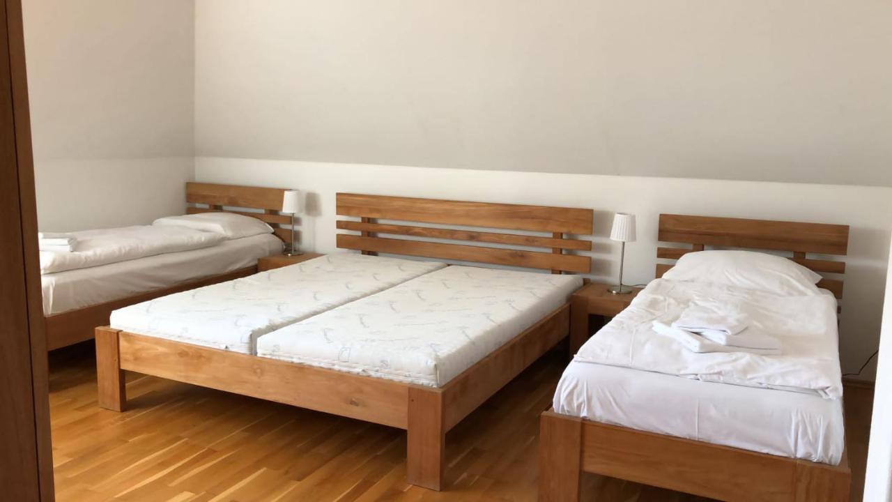 Nová Bystřice Obora 824ヴィラ エクステリア 写真